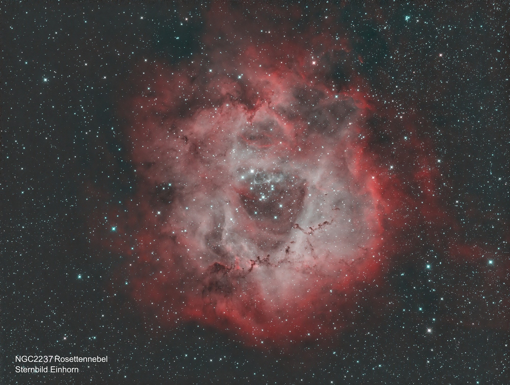 NGC2237 Rosettennebel